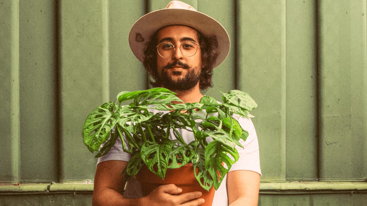 Zeeba lança versão deluxe do disco “Cultivar”; ouça!